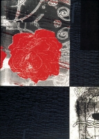 No Link (Detail)